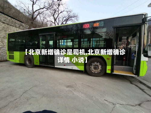【北京新增确诊是司机,北京新增确诊详情 小说】-第2张图片