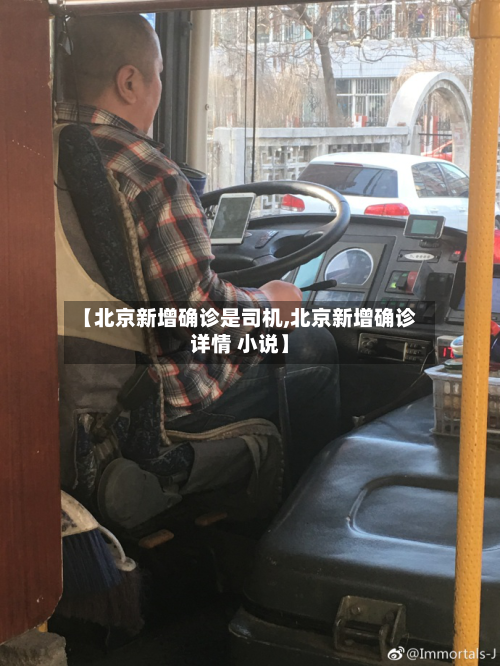 【北京新增确诊是司机,北京新增确诊详情 小说】