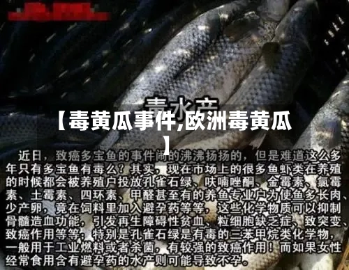 【毒黄瓜事件,欧洲毒黄瓜】-第2张图片