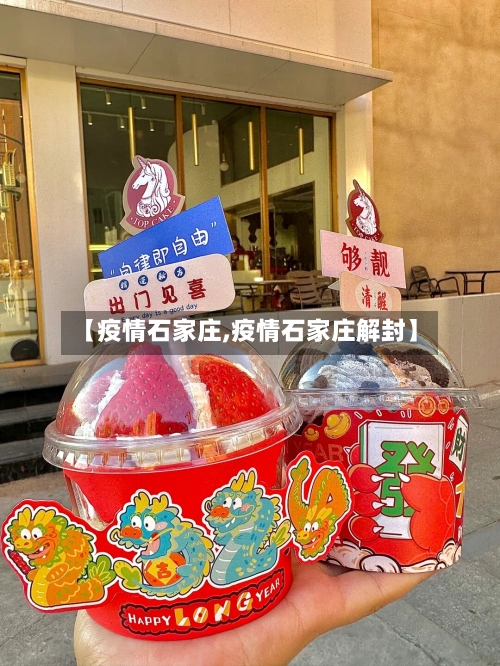 【疫情石家庄,疫情石家庄解封】