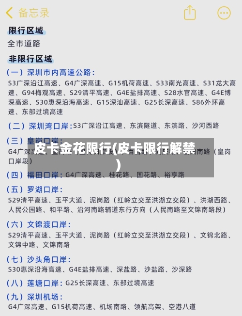 皮卡金花限行(皮卡限行解禁)-第3张图片