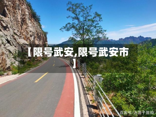 【限号武安,限号武安市】-第2张图片