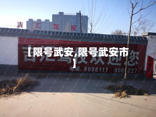 【限号武安,限号武安市】-第3张图片