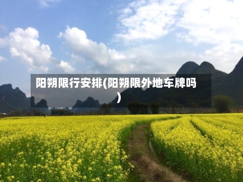 阳朔限行安排(阳朔限外地车牌吗)-第2张图片