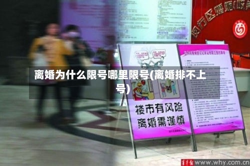 离婚为什么限号哪里限号(离婚排不上号)