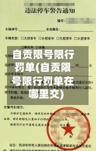 自贡限号限行罚单(自贡限号限行罚单在哪里交)-第2张图片