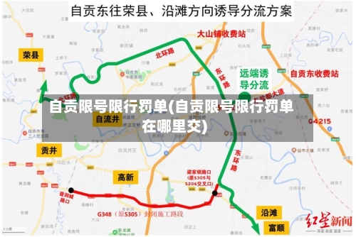 自贡限号限行罚单(自贡限号限行罚单在哪里交)-第3张图片