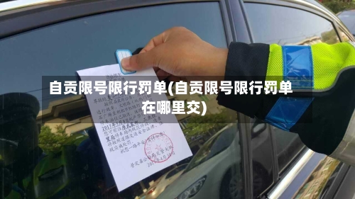 自贡限号限行罚单(自贡限号限行罚单在哪里交)
