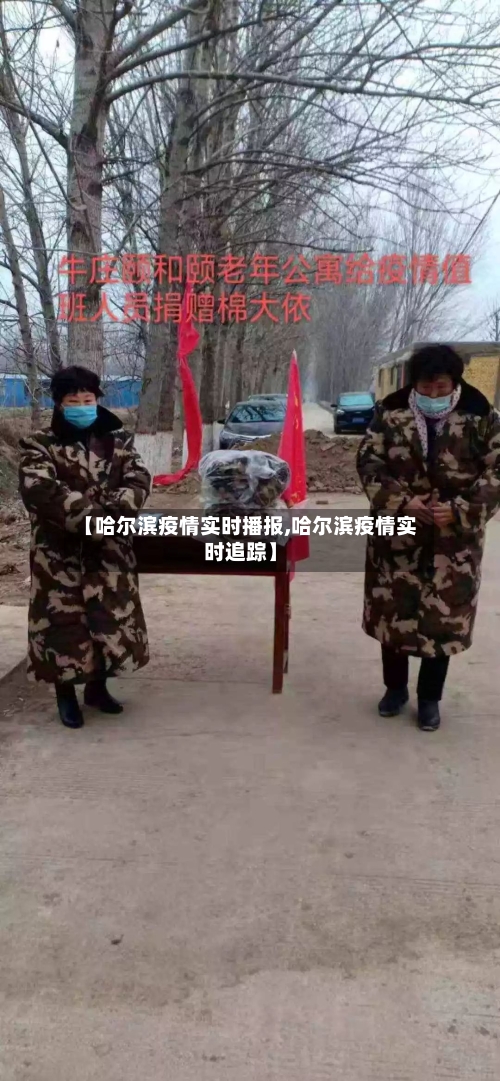 【哈尔滨疫情实时播报,哈尔滨疫情实时追踪】-第2张图片