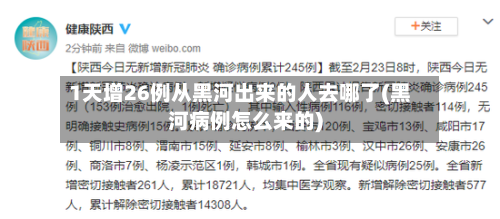 1天增26例从黑河出来的人去哪了(黑河病例怎么来的)