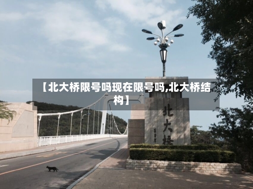 【北大桥限号吗现在限号吗,北大桥结构】-第2张图片