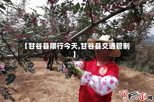 【甘谷县限行今天,甘谷县交通管制】