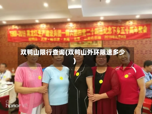 双鸭山限行查询(双鸭山外环限速多少)