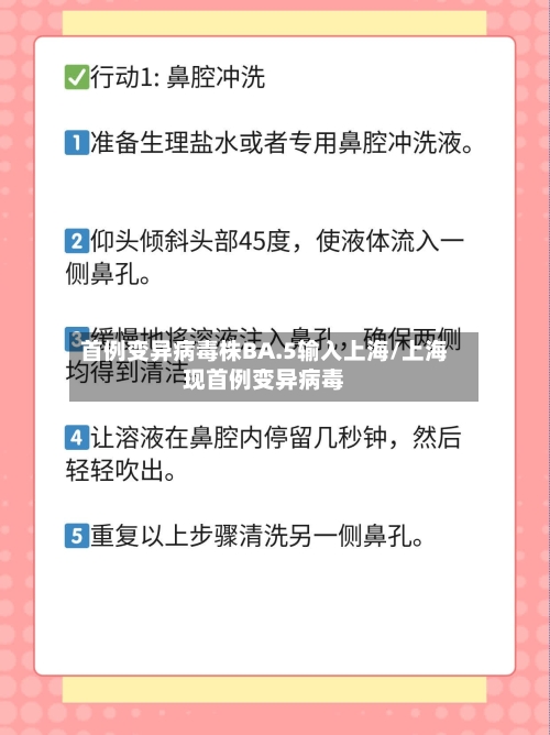 首例变异病毒株BA.5输入上海/上海现首例变异病毒