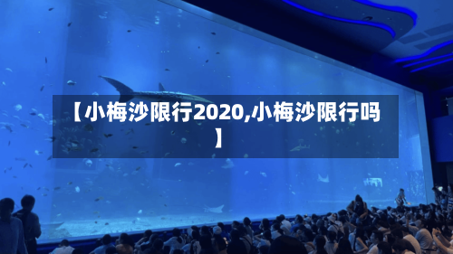 【小梅沙限行2020,小梅沙限行吗】