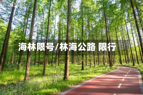 海林限号/林海公路 限行