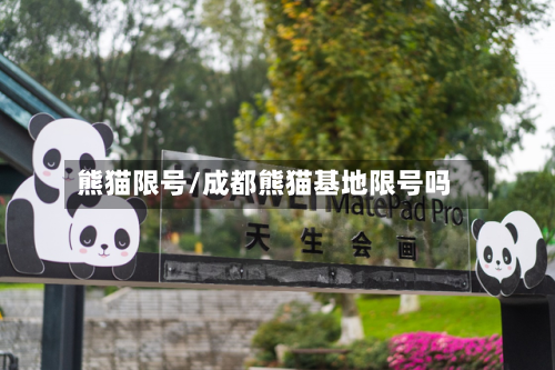 熊猫限号/成都熊猫基地限号吗-第2张图片