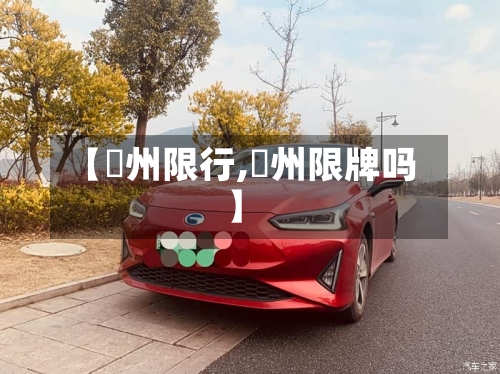 【鄚州限行,恵州限牌吗】-第2张图片