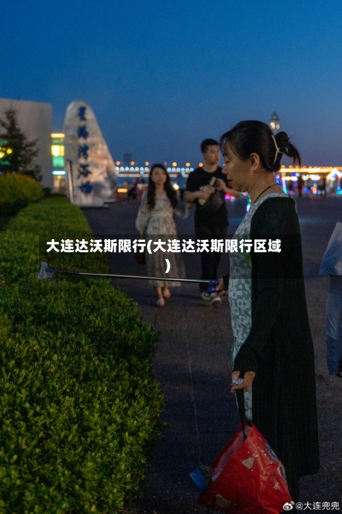 大连达沃斯限行(大连达沃斯限行区域)-第3张图片