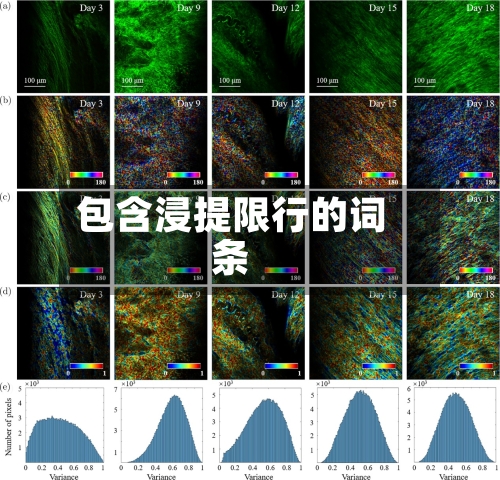包含浸提限行的词条