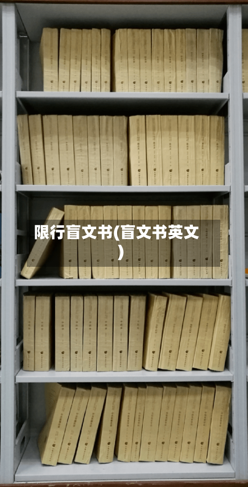 限行盲文书(盲文书英文)-第2张图片