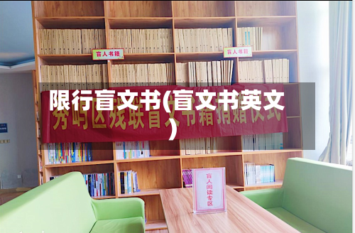 限行盲文书(盲文书英文)