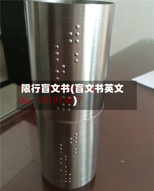限行盲文书(盲文书英文)-第3张图片