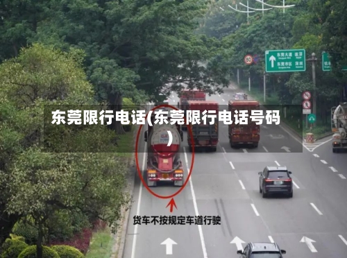 东莞限行电话(东莞限行电话号码)-第3张图片