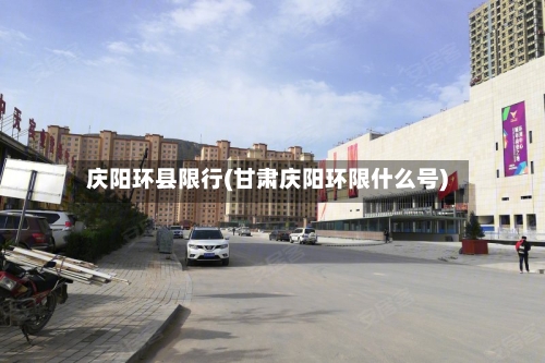 庆阳环县限行(甘肃庆阳环限什么号)-第3张图片