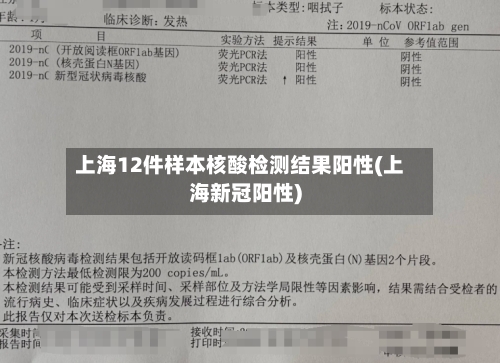 上海12件样本核酸检测结果阳性(上海新冠阳性)