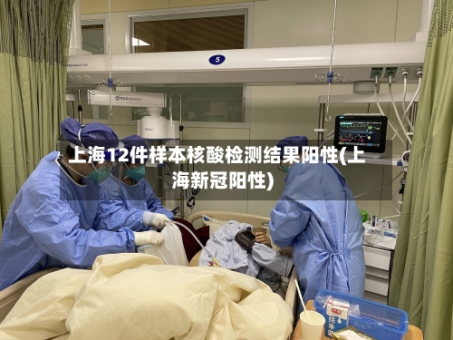 上海12件样本核酸检测结果阳性(上海新冠阳性)-第2张图片
