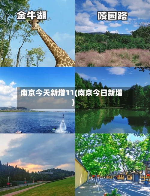 南京今天新增11(南京今日新增)