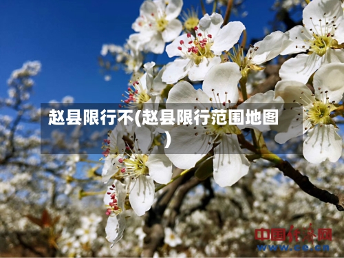 赵县限行不(赵县限行范围地图)