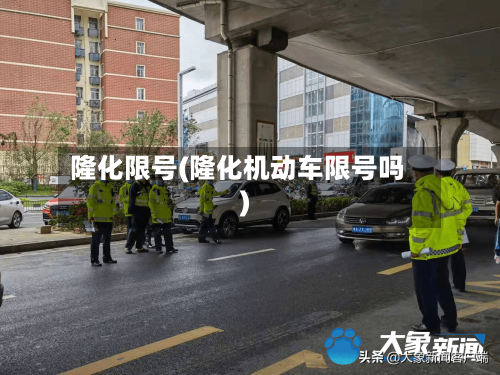 隆化限号(隆化机动车限号吗)-第2张图片