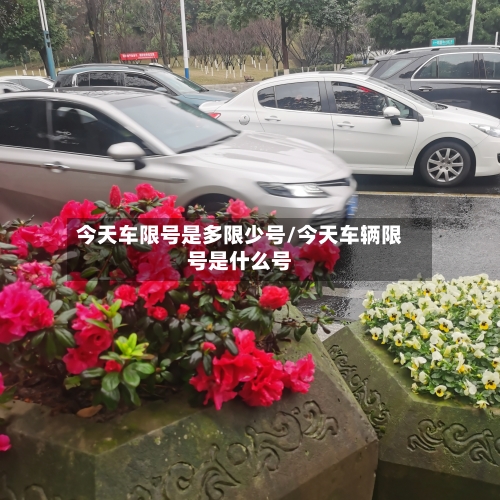 今天车限号是多限少号/今天车辆限号是什么号-第2张图片