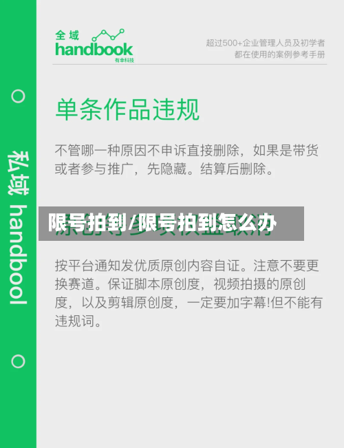 限号拍到/限号拍到怎么办