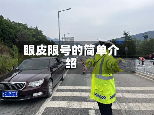 眼皮限号的简单介绍