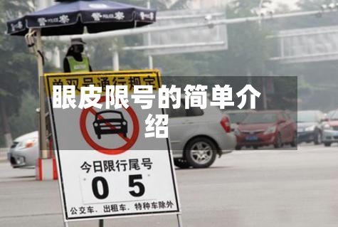 眼皮限号的简单介绍-第3张图片