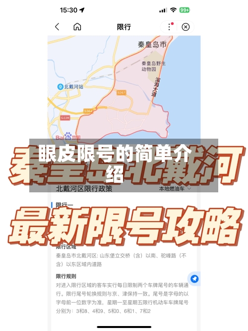 眼皮限号的简单介绍-第2张图片