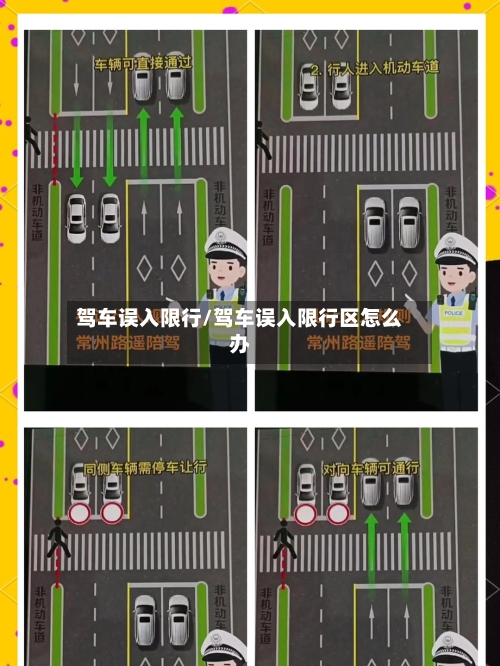 驾车误入限行/驾车误入限行区怎么办-第2张图片