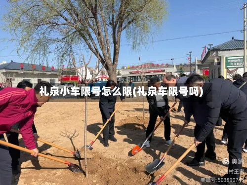 礼泉小车限号怎么限(礼泉车限号吗)
