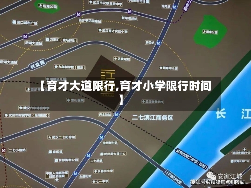 【育才大道限行,育才小学限行时间】-第2张图片