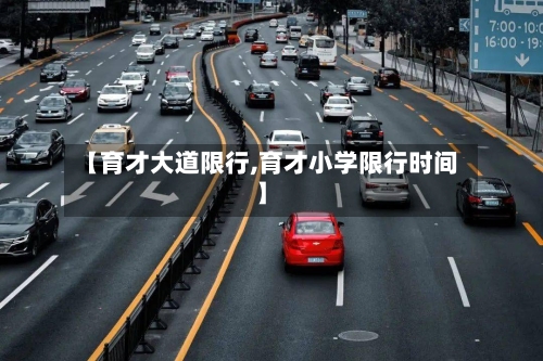 【育才大道限行,育才小学限行时间】