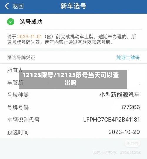 12123限号/12123限号当天可以查出吗