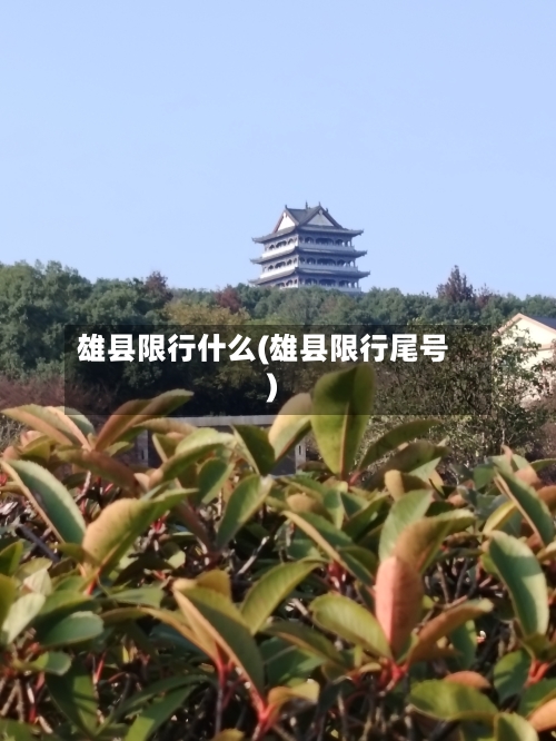 雄县限行什么(雄县限行尾号)