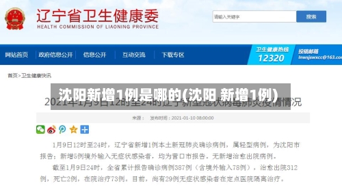 沈阳新增1例是哪的(沈阳 新增1例)