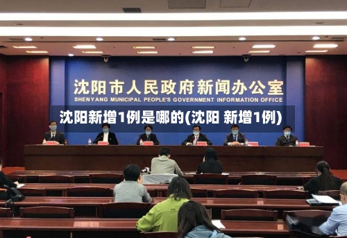 沈阳新增1例是哪的(沈阳 新增1例)-第2张图片