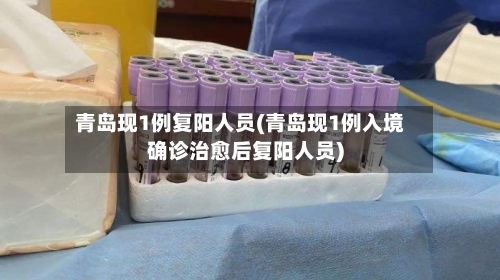 青岛现1例复阳人员(青岛现1例入境确诊治愈后复阳人员)-第2张图片