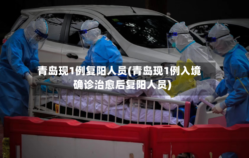 青岛现1例复阳人员(青岛现1例入境确诊治愈后复阳人员)-第3张图片