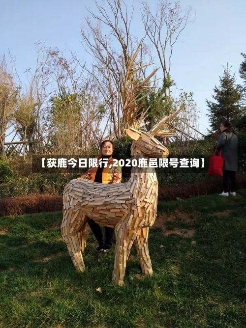 【获鹿今日限行,2020鹿邑限号查询】
